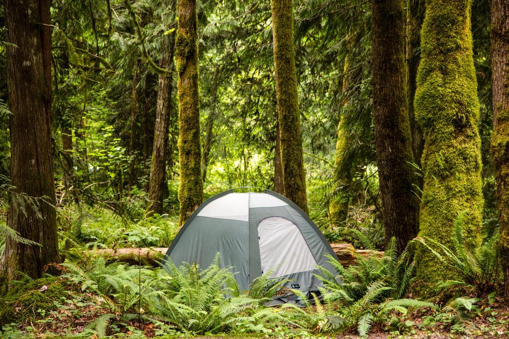 Mount Hood Village Deluxe Cabin 7 Welches Exterior foto